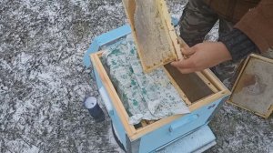 Сколько рамок оставить в улье пчёлам, для зимовки на улице. Пчеловодство!