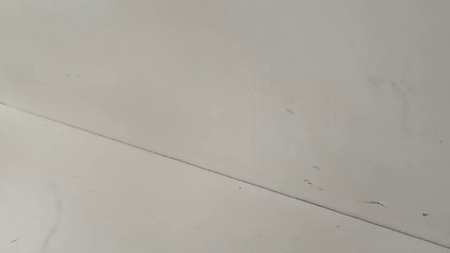 Видео №374989