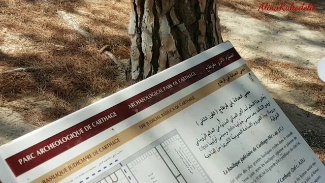 Впечатления о Тунисе 2019г / Что вышилось на отдыхе смотреть онлайн