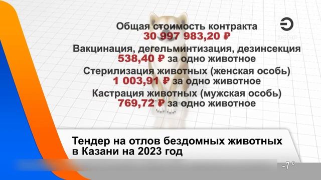 Тендер на отлов бездомных животных в Казани на 2023 год смотреть онлайн