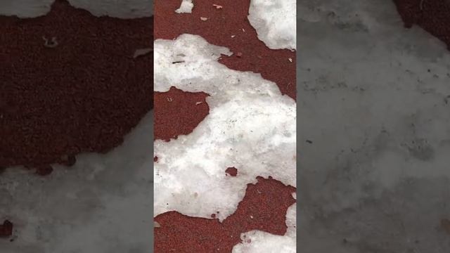 1 апреля 11:03. Детская площадка Есенина 44-46-48а-50а. "Смертельные подснежники" безнадзорных соба смотреть онлайн