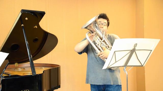 Euphonium and Piano/ P.V.De La Nux: Concert Piece смотреть онлайн