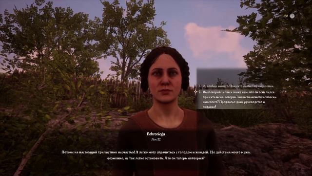 НАЧАЛО ДИНАСТИИ В MEDIEVAL DYNASTY смотреть онлайн