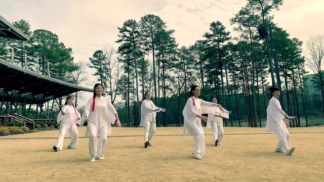 Tai Chi 《 Greatness in Simplicity 》太极《大道至简》 смотреть онлайн
