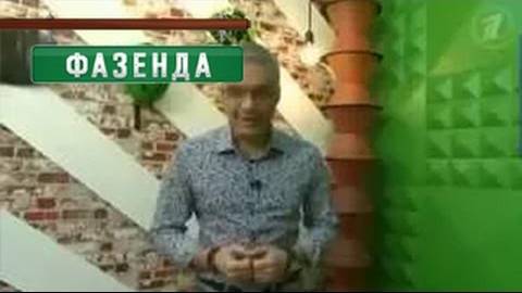 Гипсовые панели Artpole в передаче＂Фазенда＂ смотреть онлайн