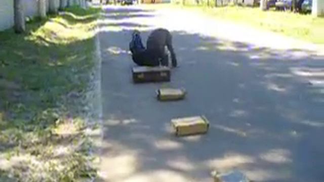 Тренировка ризеншнауцера смотреть онлайн