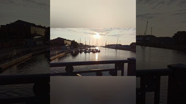 Ах вы...УШКИ..на ..макушке..🙉 смотреть онлайн