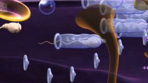 catch the sperm одеваем презерватив
