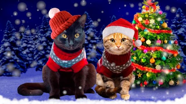 Cute Cats Singing Jingle Bells ?Christmas Song смотреть онлайн