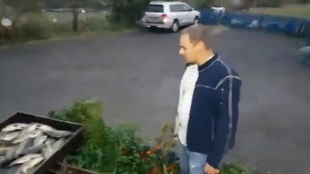 Лагуна Рыбалка - ловля карпа смотреть онлайн