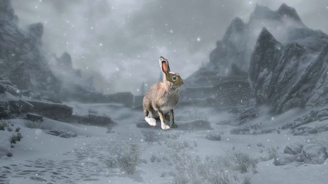 D&D 5e Monster of the Day: The Rabbit in the snow (Hare) [Fixed Audio] смотреть онлайн
