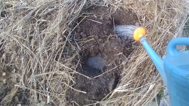 Продолжаем эксперимент: Грядка Зеппа Хольцера(Sepp Holzer's Permaculture) смотреть онлайн