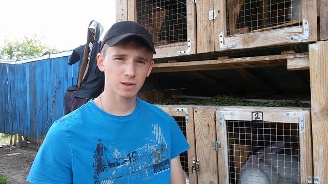 Вакцинация кроликов - как делать прививки кроликам от миксоматоза и ВГБК смотреть онлайн