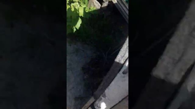 Мега рисунок!!! + дача!!!☺☺☺ смотреть онлайн