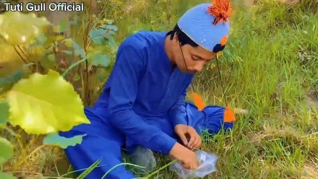 Qurbani Eid Kala De Pashto New Funny Video 2023 by Tuti Gull Official смотреть онлайн