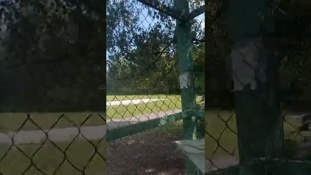 Общественная онлайн приёмная Спесивцева Артёма - нужно отремонтировать спортивную игровую площадку