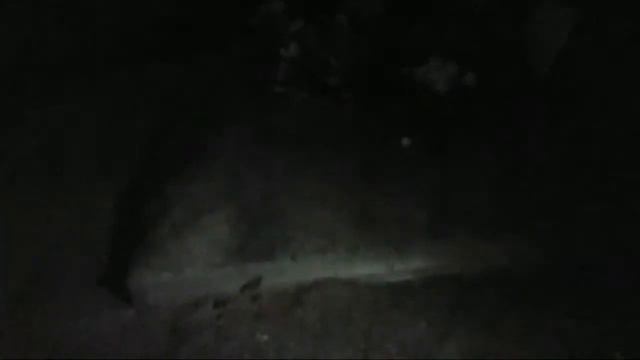 IRL Stream Дедушки Курлыка!