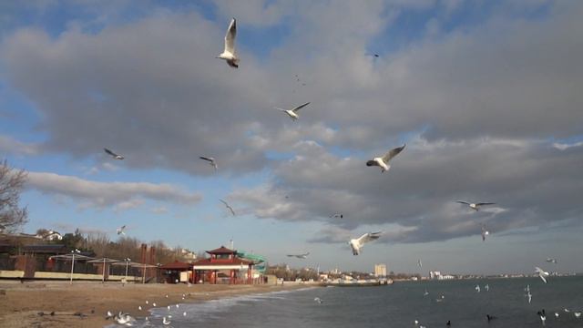 Sunday-воскресенье, 27 января 2019 г. (GMT+3) Феодосия смотреть онлайн