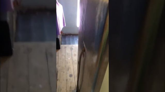 Частые проблемы с холодильником смотреть онлайн