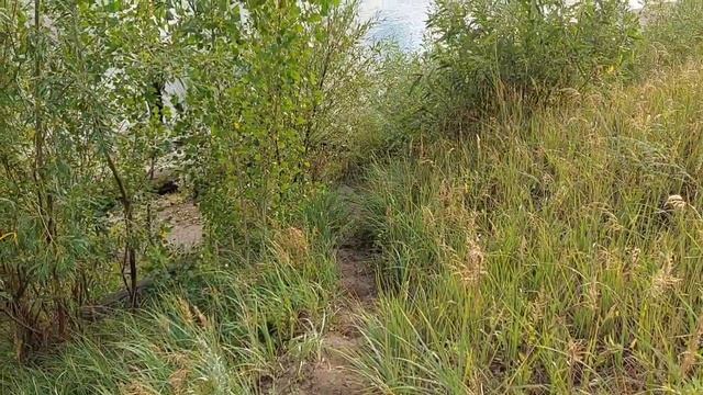 АВАНТЮРНАЯ РЫБАЛКА В НИЖНИЙ СУЗУН?. смотреть онлайн