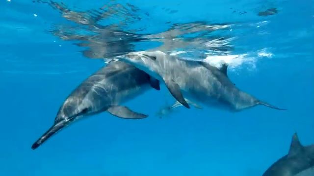 Легкая приятная музыка для ЖИЗНИ - Нежная музыка, успокаивает нервную систему и радует душу смотреть онлайн