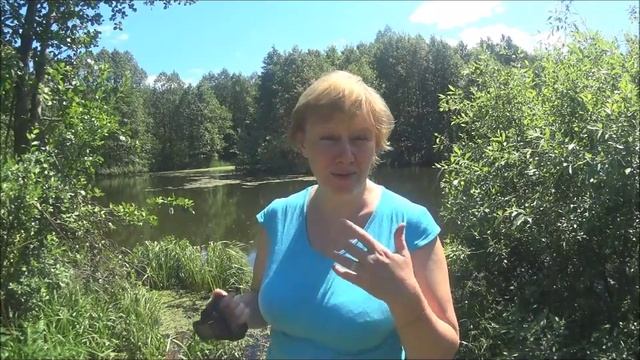 Наблюдать и изучать мир смотреть онлайн