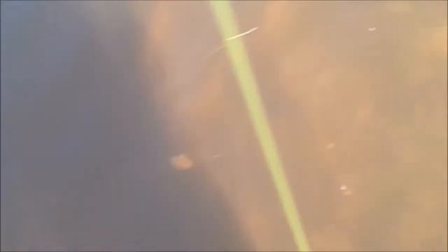 #Одно из устьев Сахалина. Лучшая рыбалка. смотреть онлайн