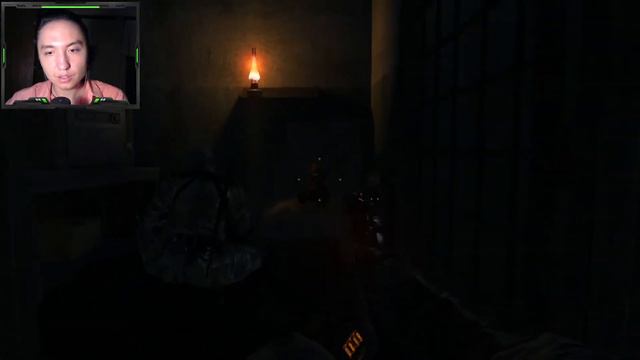 Первый раз играю в культовую Metro: Last Light - Стрим (#1) смотреть онлайн