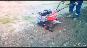 новый мотоблок пахарь.