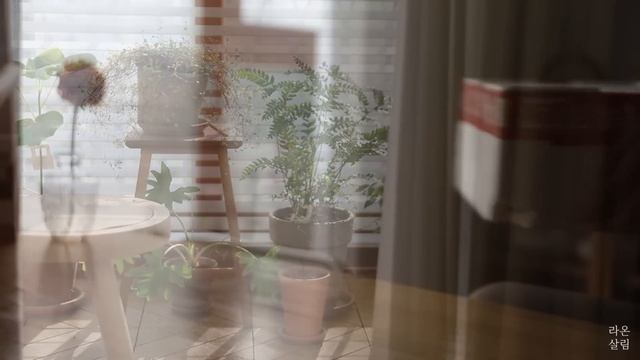 Sub)살림이 편해지는 제철 밥상 밀키트 만들기/식재료 보관 용기 추천