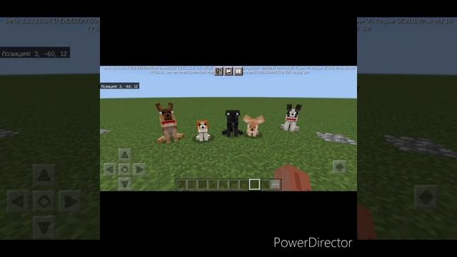 мод на собак #minecraft #shorts #моды