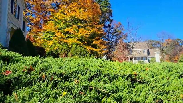 Прекрасная пора- очей очарованье/ОСЕНЬ/Beautiful time - eyes charm смотреть онлайн