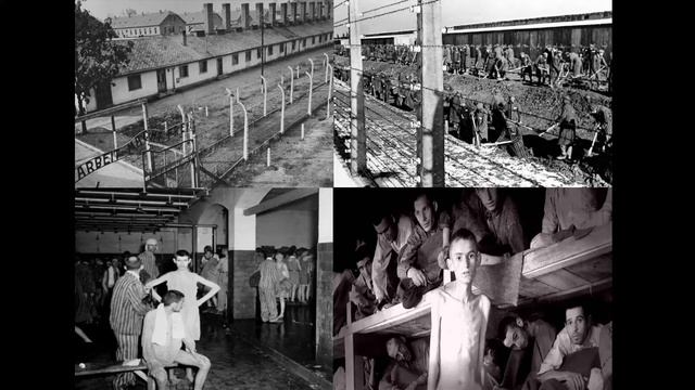 Освобождение Освенцима смотреть онлайн