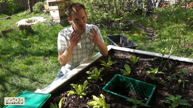 Beetbox - Wurmkompostierung im Gemüsebeet - Erklärung смотреть онлайн