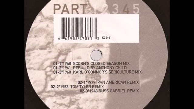 Psi Performer - 1977 (Pan American Remix) смотреть онлайн