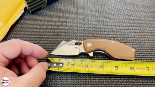 Bestech Lizard Knife Review