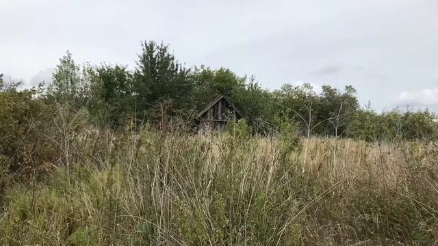 лето...МЕСТО где ПЧЁЛЫ СОБИРАЮТ Мёд смотреть онлайн