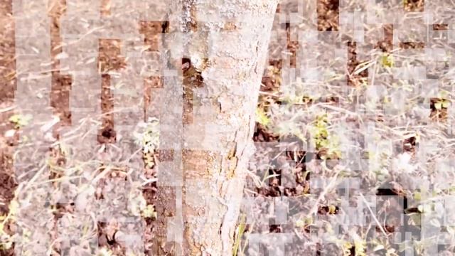 СтройКосмос