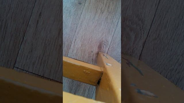 Быстрая установка люстр без сверления смотреть онлайн