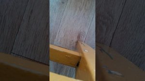 Быстрая установка люстр без сверления