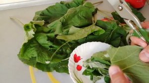 ?ЛИСТЬЯ ЛОПУХА ПОМОГУТ ВАМ ИЗБАВИТЬСЯ ОТ МНОГИХ БОЛЕЗНЕЙ.?