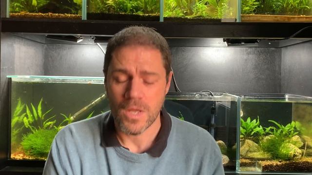? Shrimp Tank Essentials: Do You Really Need a Filter? смотреть онлайн
