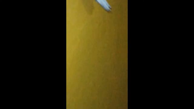 Старый Голубь 18+ смотреть онлайн