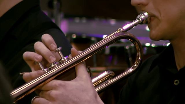 Astor Piazzolla – Libertango, conducted by Tomasz Chmiel, The Young Cracow Philharmonic смотреть онлайн