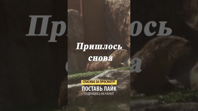 А у меня в ... смотреть онлайн