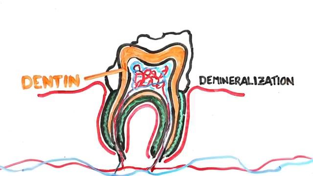 The Teeth Song (Learn in 3 minutes!) | SCIENCE SONGS смотреть онлайн