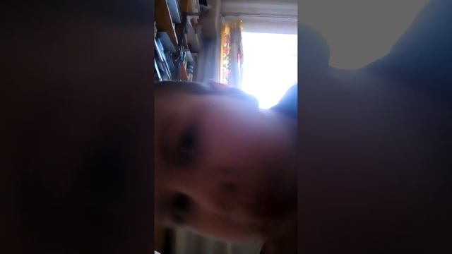 Развлечение/игрушка стрелялка из ручки смотреть онлайн