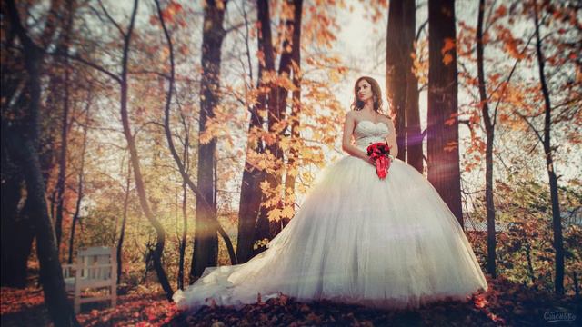 Свадебный фотограф в Санкт Петербурге Денис Стенько ☎8-911-028-10-16 смотреть онлайн