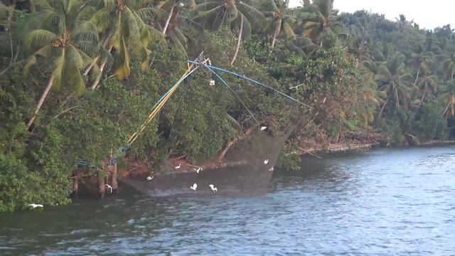 Каналы Кералы Индия ⁄ Kerala backwaters India 4K Ultra HD смотреть онлайн