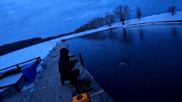 #238 Форель РК "Русский осётр" 27 февраля 2024 смотреть онлайн